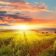 green nature sunrise wallpaper green nature sunrise wallpaper